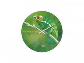 Часы настенные Nicole Time NT503 в Завьялово - zavyalovo.mebel-nsk.ru | фото